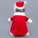Dog wearing a red Santa outfit with a gray background