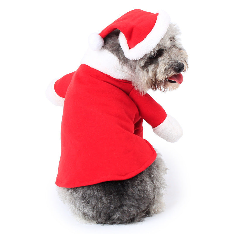 Dog wearing a red hoodie with a Santa hat on a white background