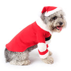 Dog wearing a Santa Claus costume on a white background