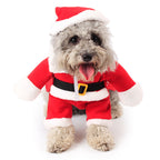 Dog wearing a Santa Claus costume on a white background