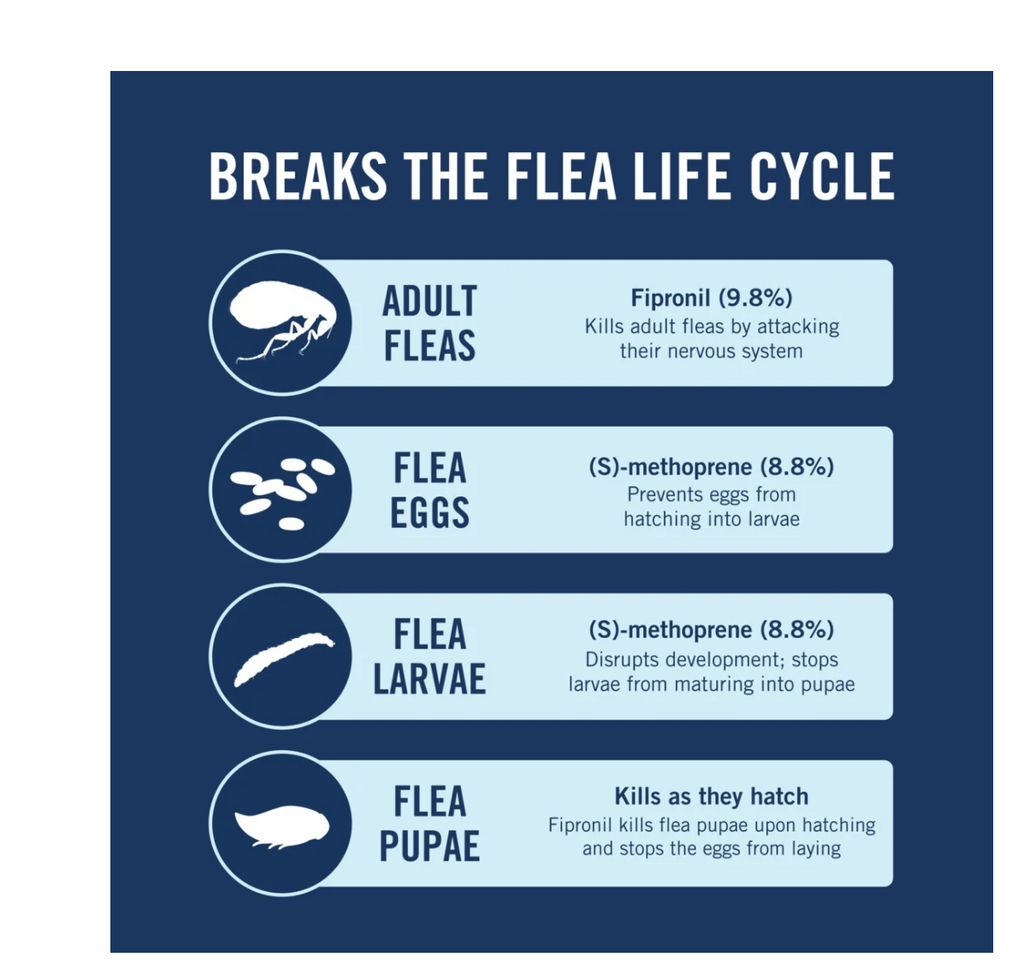 PetArmor 7 Way De-Wormer for Dogs – 2 Chewable Tablets (25.1–200 lbs)