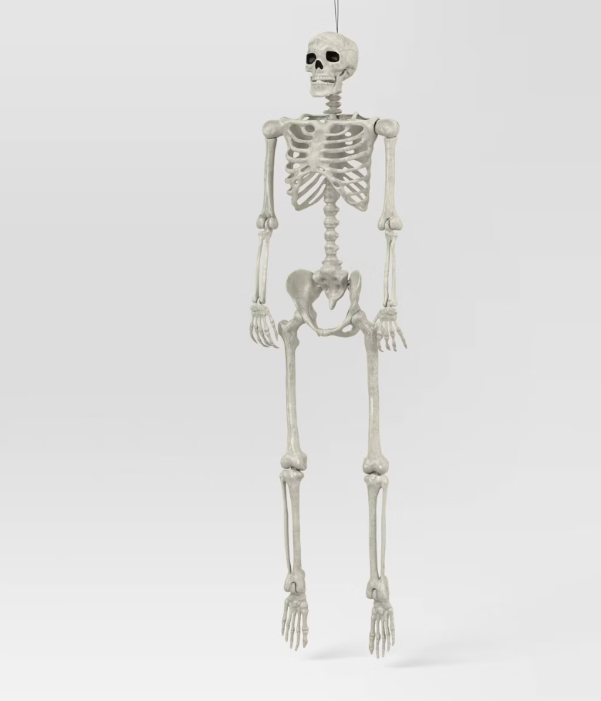 60" Poseable Bone Skeleton Halloween Decorative Prop Off-White - Hyde and EEK! Boutique™
