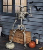 60" Poseable Bone Skeleton Halloween Decorative Prop Off-White - Hyde and EEK! Boutique™
